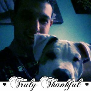 Meet your Posher, Joe